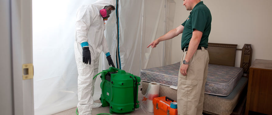 Torrance, CA mold removal process